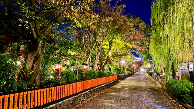 ナイトツアー